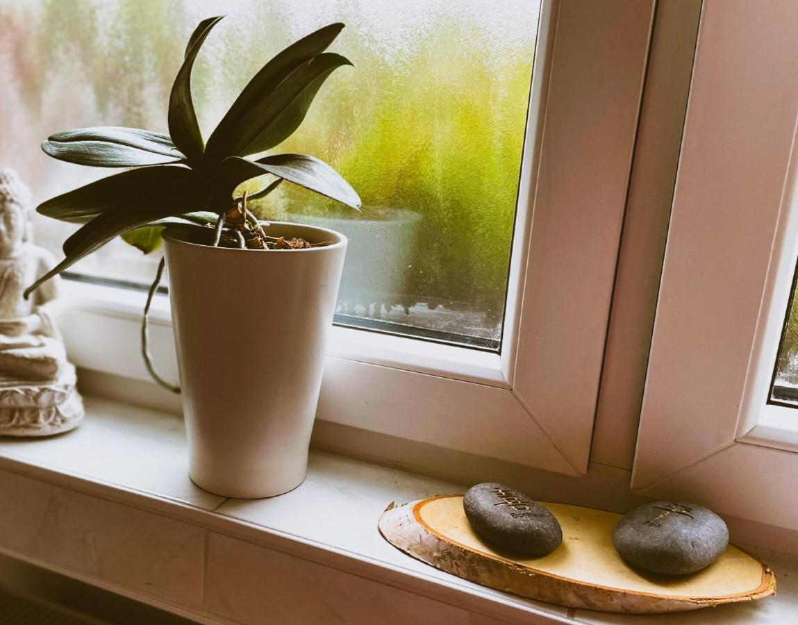 Modernes Appartement Im Gruenen - Stilvoll Und Komfortabel ケルン エクステリア 写真